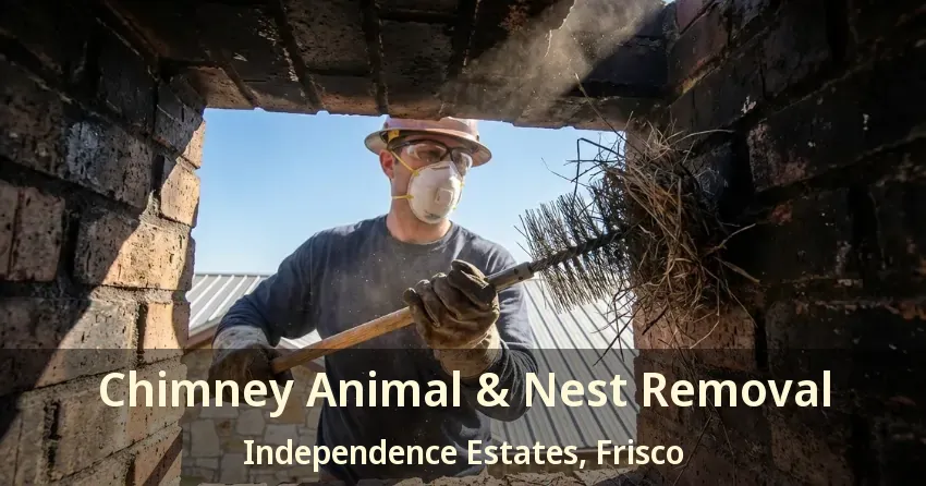 Chimney Animal & Nest Removal Independence Estates, Frisco - TX Chimney Animal & Nest Removal Independence Estates, Frisco - TX