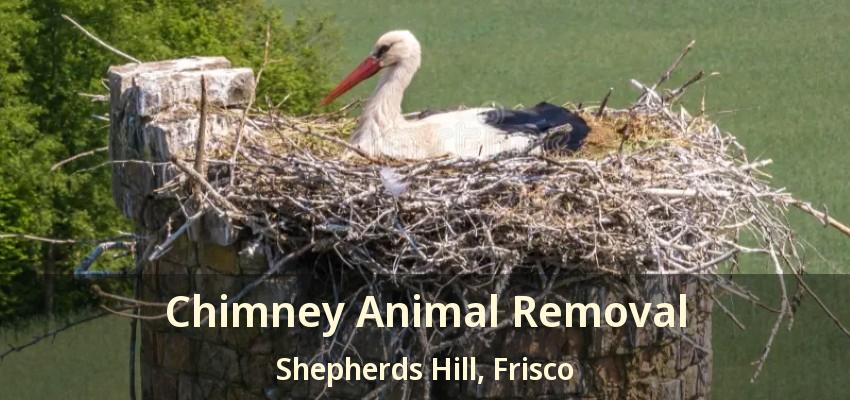 Chimney Animal Removal Shepherds Hill, Frisco - TX