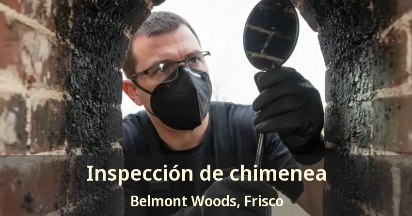 Inspección de chimenea Belmont Woods, Frisco - TX Inspección de chimenea Belmont Woods, Frisco - TX