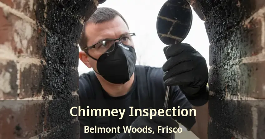 Chimney Inspection Belmont Woods, Frisco - TX Chimney Inspection Belmont Woods, Frisco - TX
