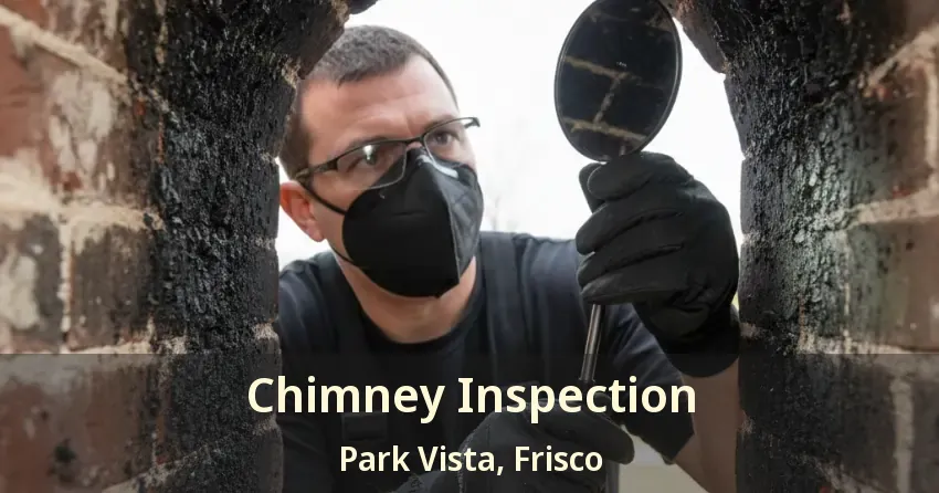 Chimney Inspection Park Vista, Frisco - TX