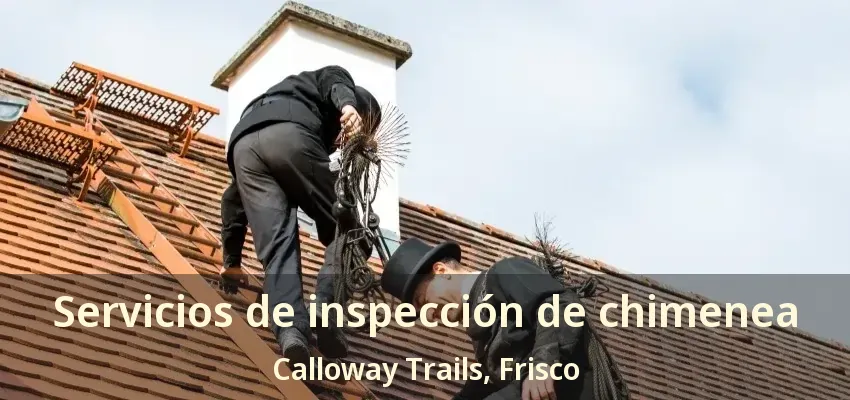 Servicios de inspección de chimenea Calloway Trails, Frisco - TX