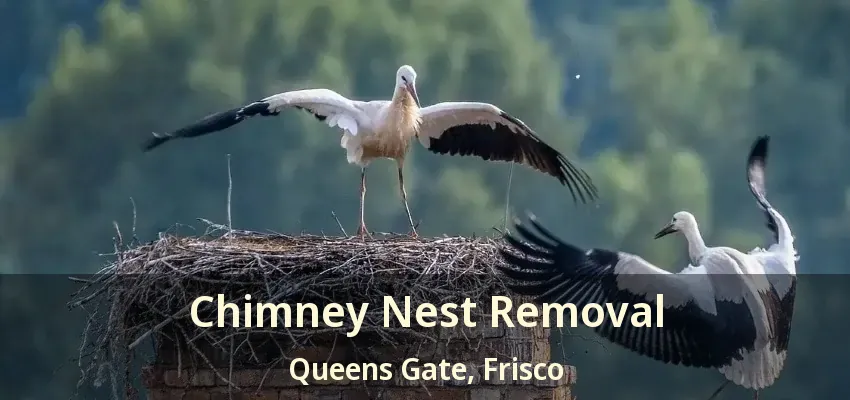 Chimney Nest Removal Queens Gate, Frisco - TX Chimney Nest Removal Queens Gate, Frisco - TX