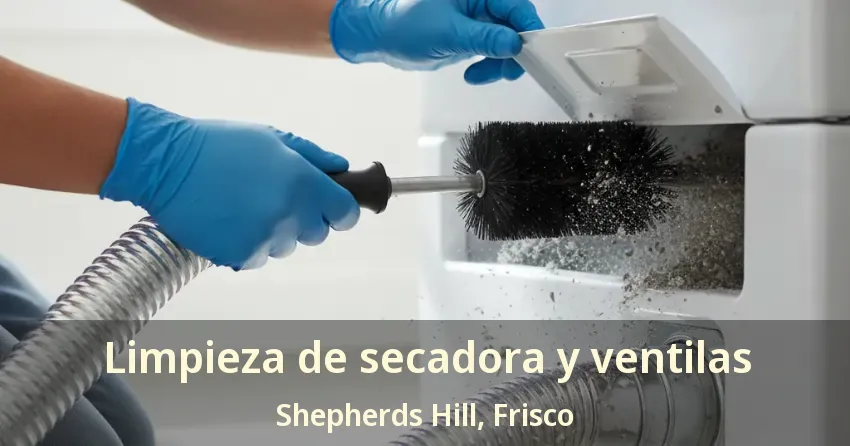 Limpieza de secadora y ventilas Shepherds Hill, Frisco - TX