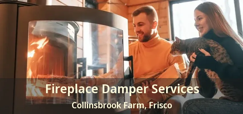 Fireplace Damper Services Collinsbrook Farm, Frisco - TX