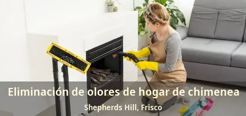 Eliminación de olores de hogar de chimenea Shepherds Hill, Frisco - TX