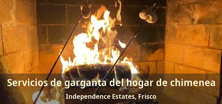 Servicios de garganta del hogar de chimenea Independence Estates, Frisco - TX Servicios de garganta del hogar de chimenea Independence Estates, Frisco - TX