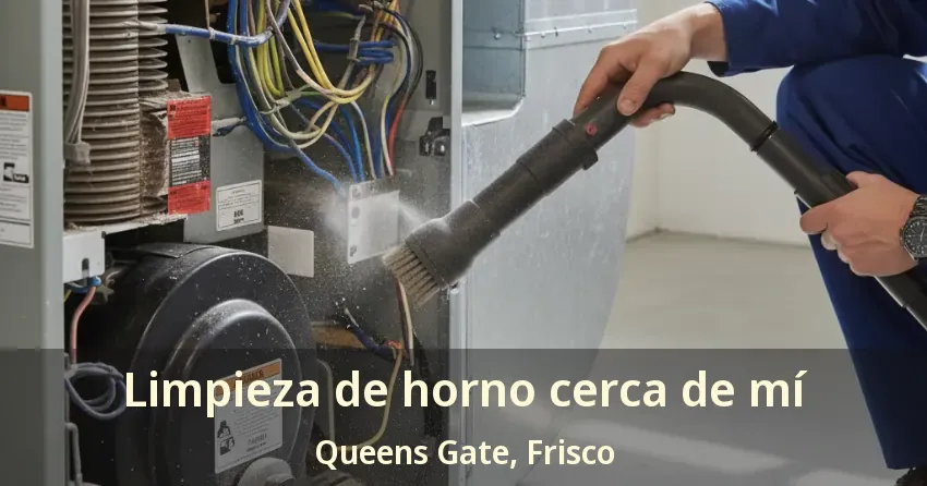 Limpieza de horno cerca de mí Queens Gate, Frisco - TX