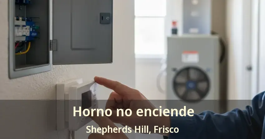 Horno no enciende Shepherds Hill, Frisco - TX