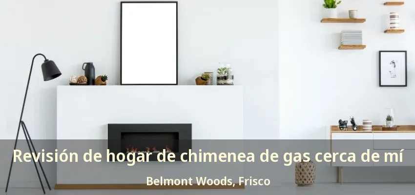 Revisión de hogar de chimenea de gas cerca de mí Belmont Woods, Frisco - TX