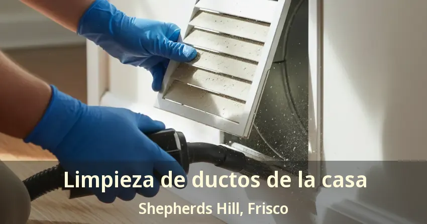 Limpieza de ductos de la casa Shepherds Hill, Frisco - TX
