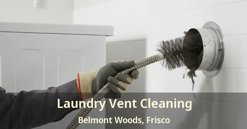Laundry Vent Cleaning Belmont Woods, Frisco - TX