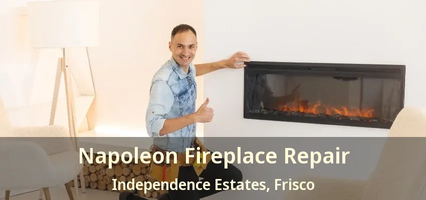 Napoleon Fireplace Repair Independence Estates, Frisco - TX