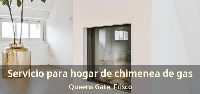 Servicio para hogar de chimenea de gas Queens Gate, Frisco - TX