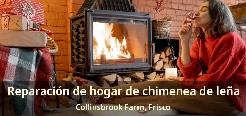 Reparación de hogar de chimenea de leña Collinsbrook Farm, Frisco - TX